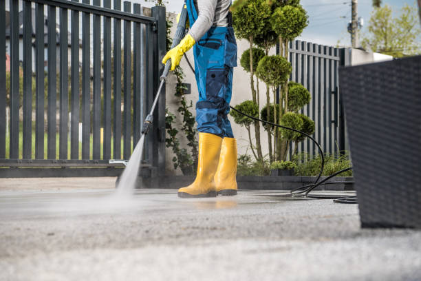 Best Deck Cleaning Services  in Alba, NY
