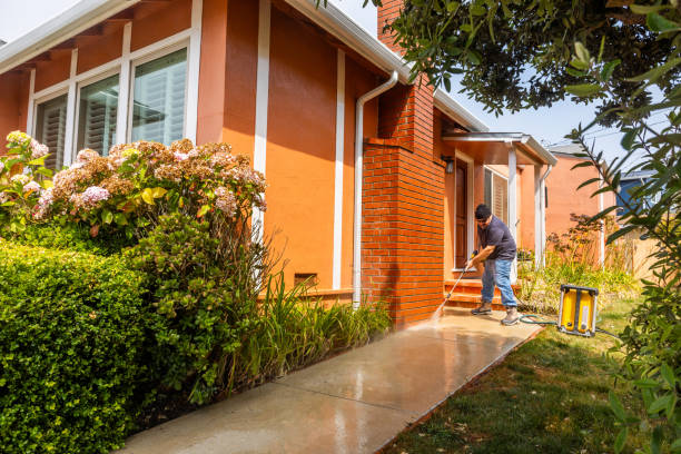 Best Affordable Pressure Washing  in Alba, NY
