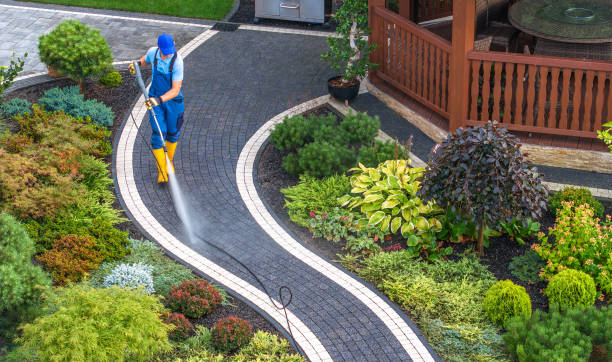 Best Local Pressure Washing Services  in Alba, NY